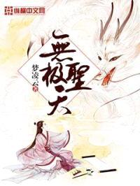 无极圣天封面