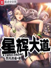 星辉大道封面