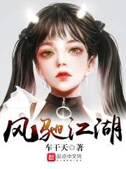 风驰江湖封面
