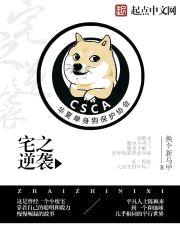 没带系统的文娱大佬封面