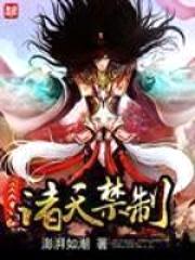 诸天禁制封面