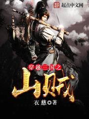 穿越三国之山贼封面
