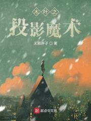 木叶之投影魔术封面