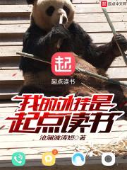 我的外挂是起点读书封面