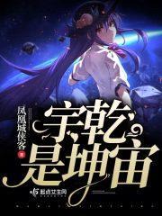 宇乾是坤宙封面