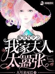 夫人在上：少帅，来战！封面