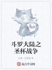 斗罗大陆之圣杯战争封面