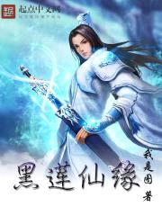 黑莲仙缘封面