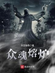 众魂熔炉封面
