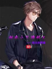 柯南之王牌特工封面