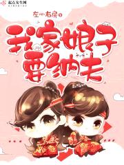 我家娘子要纳夫封面