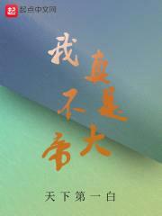 卖T恤起家的大帝封面