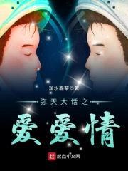 弥天大话之爱爱情封面