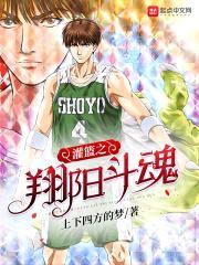 灌篮之翔阳斗魂封面