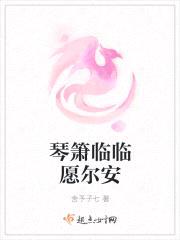 琴箫临临愿尔安封面