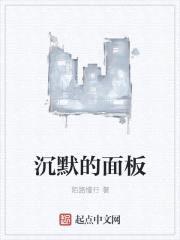 沉默的面板封面