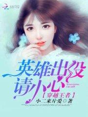 穿越王者：英雄出没请小心封面