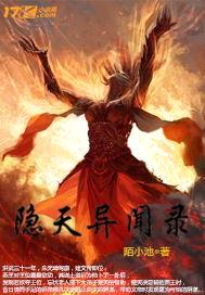隐天录封面