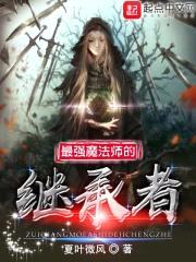 最强魔法师的继承者封面