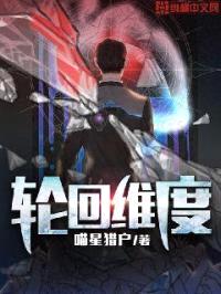 轮回维度封面