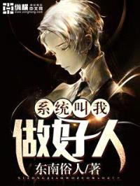 系统叫我做好人封面