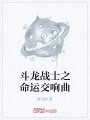 斗龙战士之命运交响曲封面