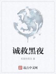 拯救黑夜封面
