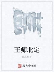 王师北定封面