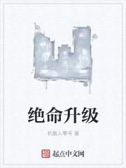 绝命升级封面