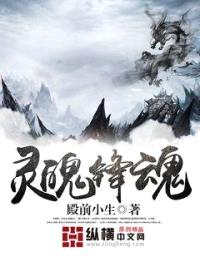 灵魄锋魂封面