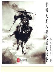 梦回天龙八部之我是段誉封面
