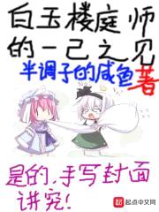 白玉楼庭师的一己之见封面
