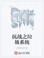 抗战之垃圾系统封面