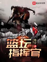 篮坛指挥官封面