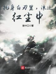 托身白刃里，浪迹红尘中封面