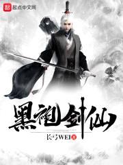 黑袍剑仙封面