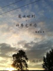 魔女嫁到：神尊宠不停封面