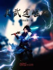 真武道崛起封面