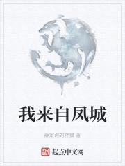 我来自凤城封面