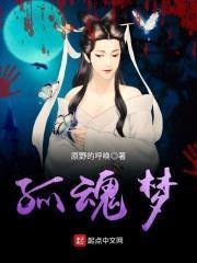 孤魂梦封面
