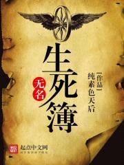 无名生死簿封面