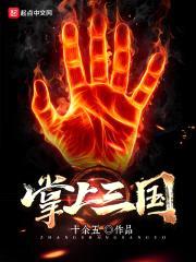 掌上三国封面