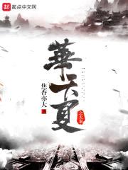 华天夏之大秦封面
