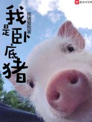 我是卧底猪封面