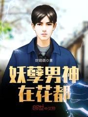 妖孽男神在花都封面