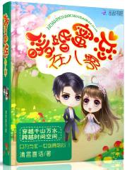 暖婚蜜恋在八零封面