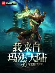 我来自玛法大陆封面