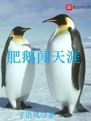 肥鹅闯天涯封面