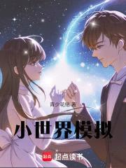 小世界模拟封面