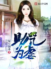 助咒为虐封面